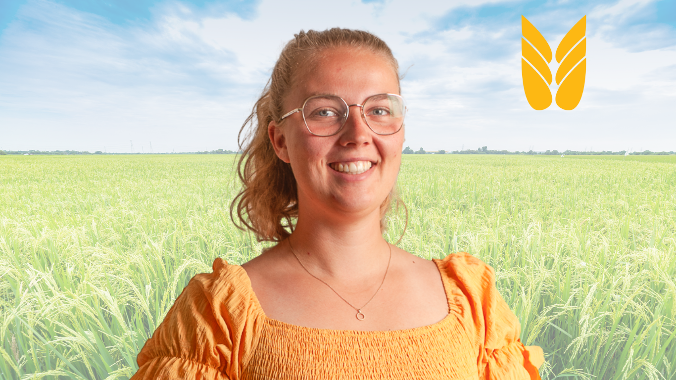 Johanna Herold Højgaard