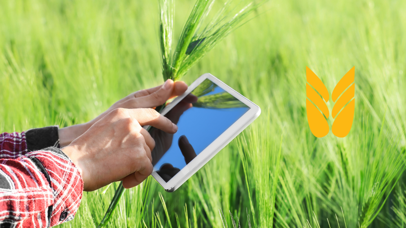 Tilskud til Miljø- og klimateknologi udskydes – næste ansøgningsrunde i slutningen af 2026